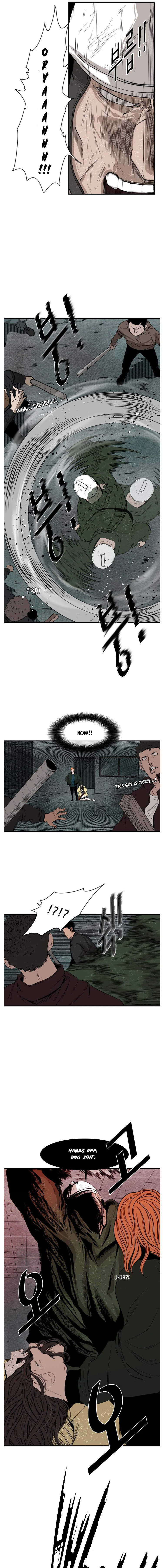Read Shark Manga Online